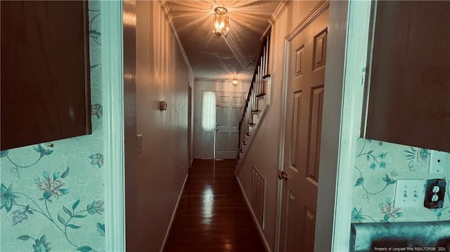 corridor featuring ornamental molding and dark hardwood / wood-style flooring