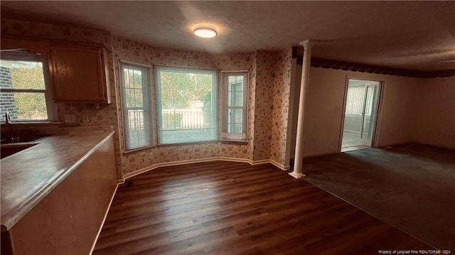 interior space featuring sink, plenty of natural light, and dark hardwood / wood-style floors