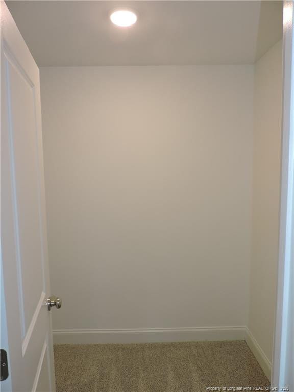 walk in closet featuring carpet flooring