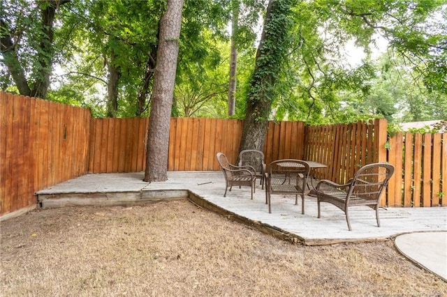 view of yard with a patio area and a fenced backyard