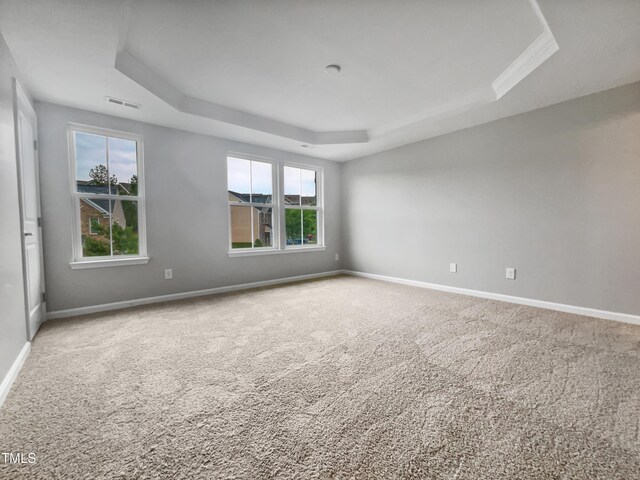 carpeted spare room with a raised ceiling