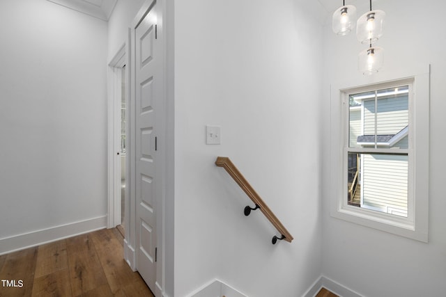 stairs with hardwood / wood-style flooring