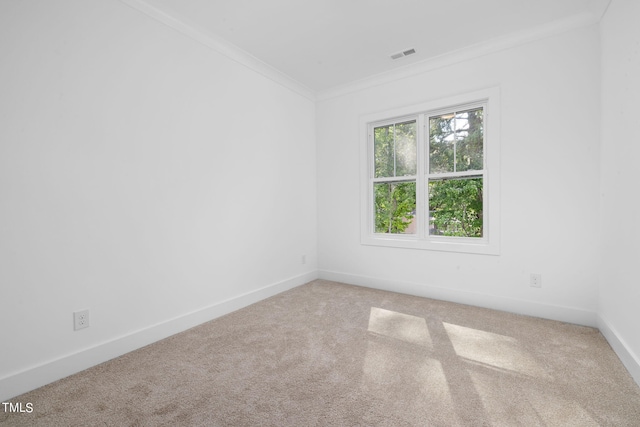 unfurnished room with ornamental molding and carpet flooring