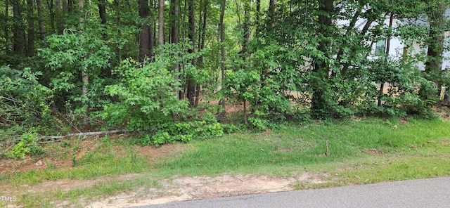 1316 Sagamore Dr, Louisburg NC, 27549 land for sale