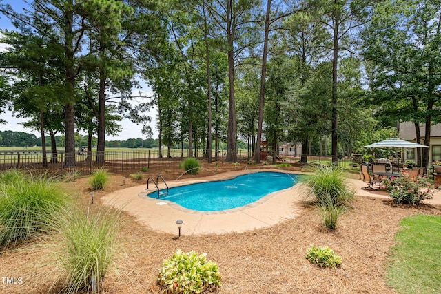 view of swimming pool featuring a patio area