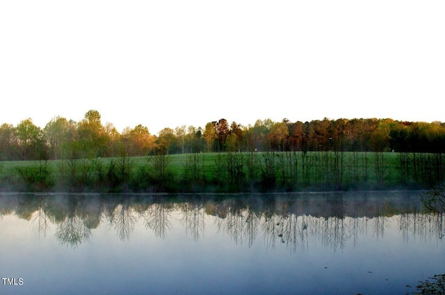 view of water feature