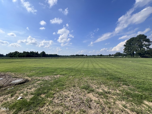78 Grace Ridge Ct, Benson, NC 27504