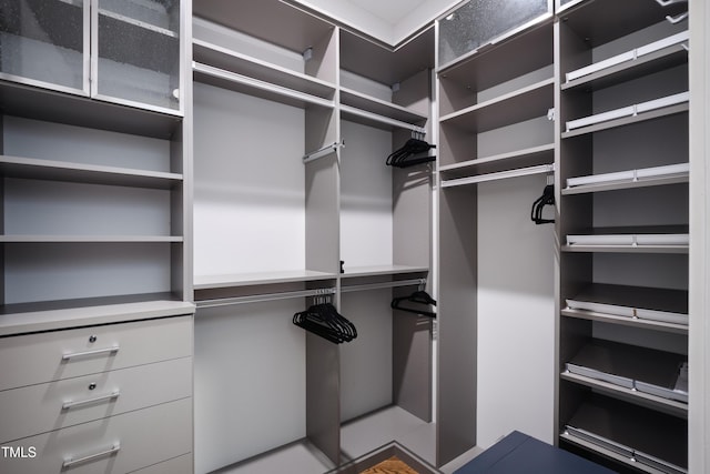 view of walk in closet