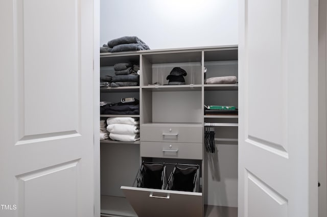 view of closet