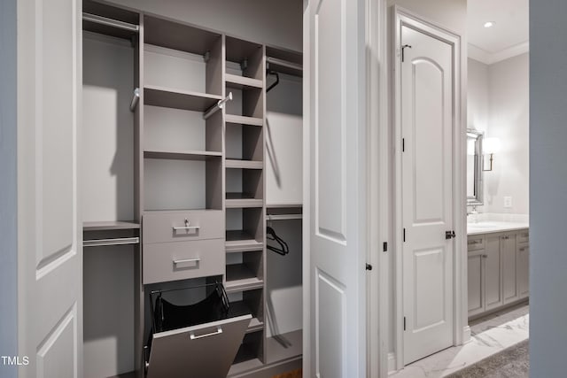 closet with a sink