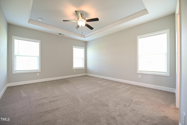 carpeted spare room featuring plenty of natural light and a raised ceiling