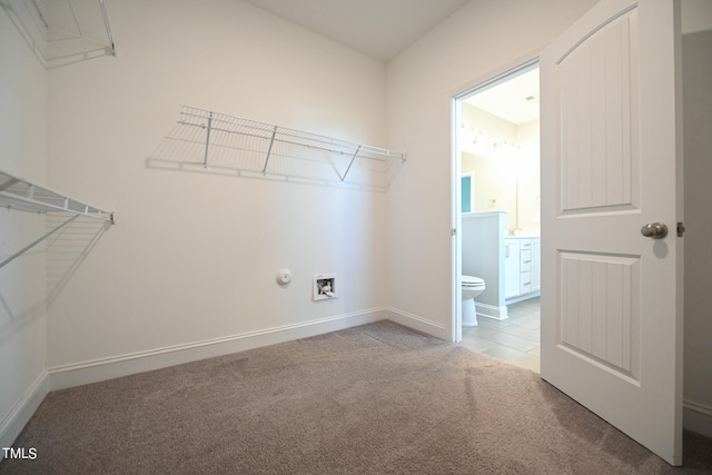 spacious closet with carpet flooring