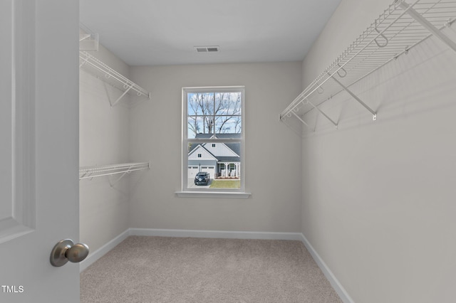 spacious closet with carpet flooring