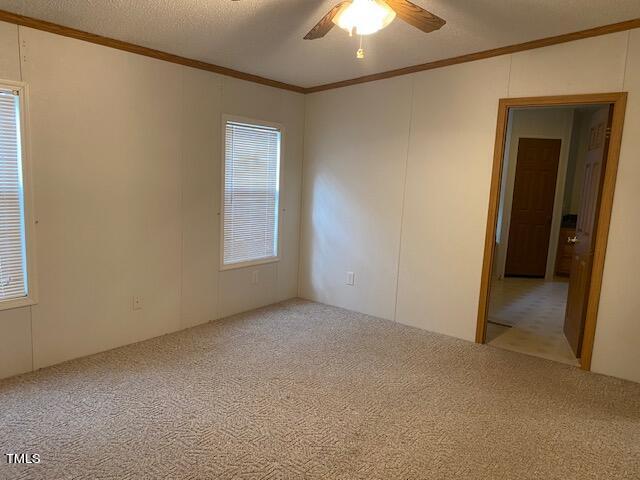 empty room featuring ceiling fan, a textured ceiling, crown molding, and carpet flooring