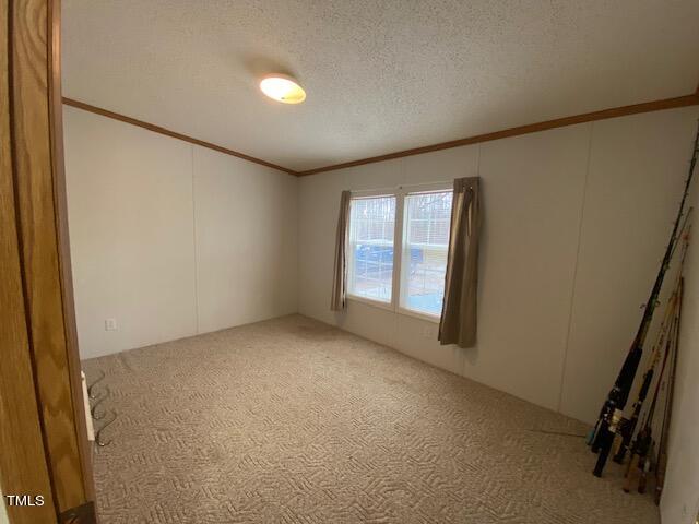 empty room featuring a textured ceiling, light colored carpet, and crown molding