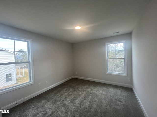 carpeted spare room with a wealth of natural light