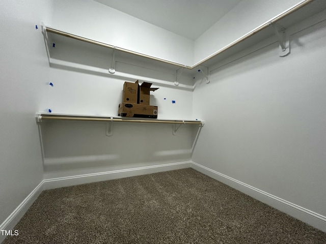 walk in closet featuring carpet flooring