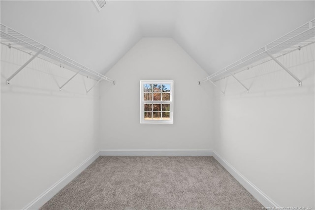 spacious closet featuring carpet and lofted ceiling