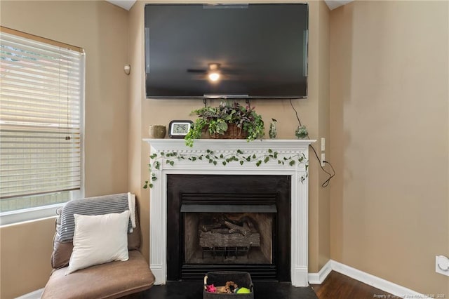 sitting room with wood finished floors, a fireplace with flush hearth, a wealth of natural light, and baseboards