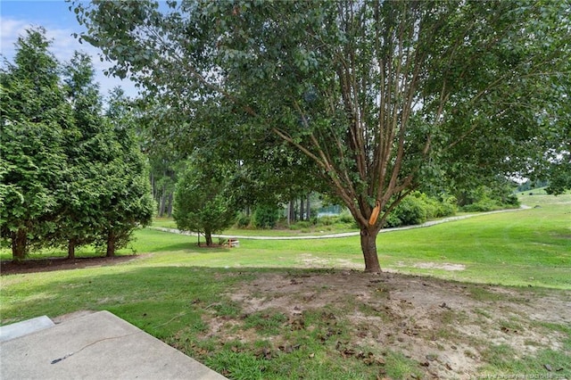 40 Sedgefield Ln, Spring Lake, NC 28390 - photo 16