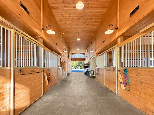 view of horse barn