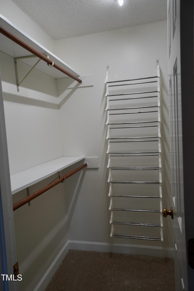 spacious closet featuring carpet floors