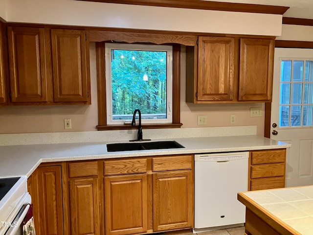 kitchen with ornamental molding, sink, and white appliances