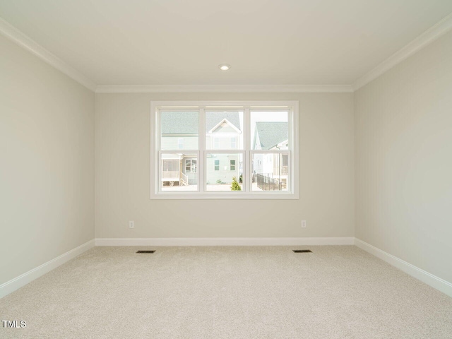 205 Wash Hollow Dr, Wendell, NC 27591 - spare room with ornamental molding and carpet