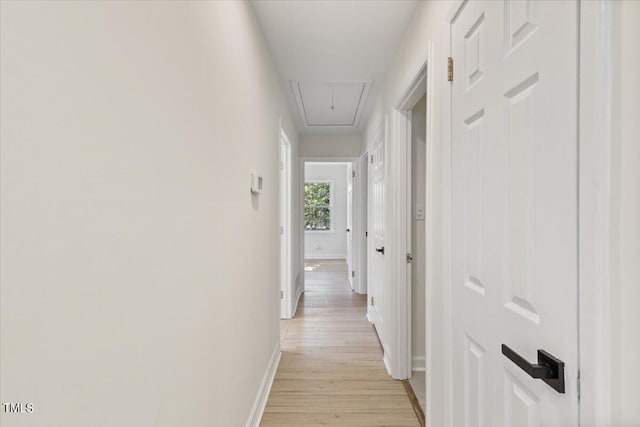 corridor with light wood-type flooring