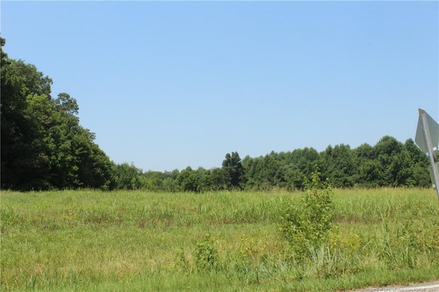 TBD Siler City Glendon Rd, Bear Creek, NC 27207 - photo 6