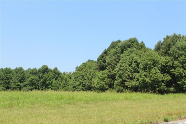 TBD Siler City Glendon Rd, Bear Creek, NC 27207 - photo 7