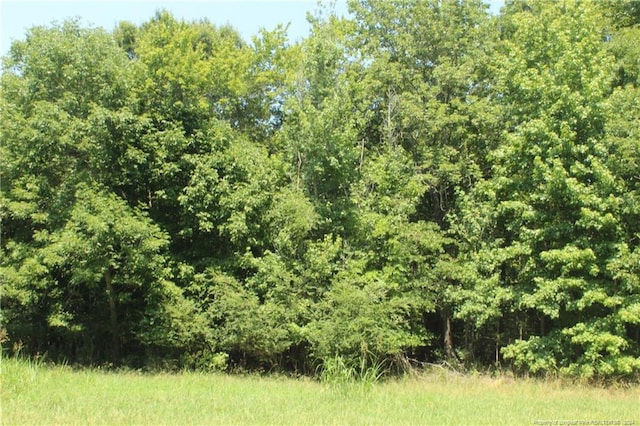 TBD Siler City Glendon Rd, Bear Creek, NC 27207 - photo 8