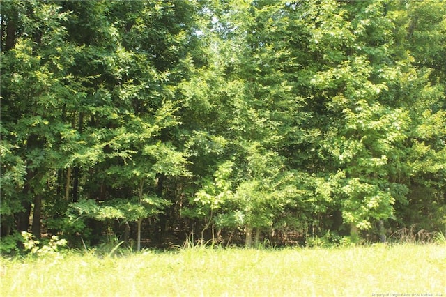 TBD Siler City Glendon Rd, Bear Creek, NC 27207 - photo 9