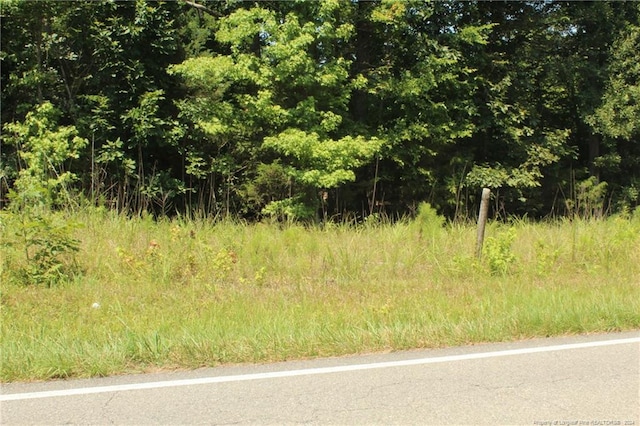 TBD Siler City Glendon Rd, Bear Creek, NC 27207 - photo 10