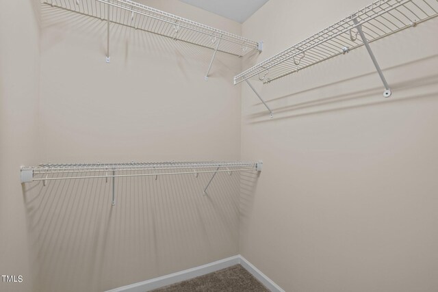 walk in closet featuring carpet flooring