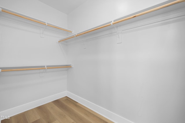 walk in closet with hardwood / wood-style flooring