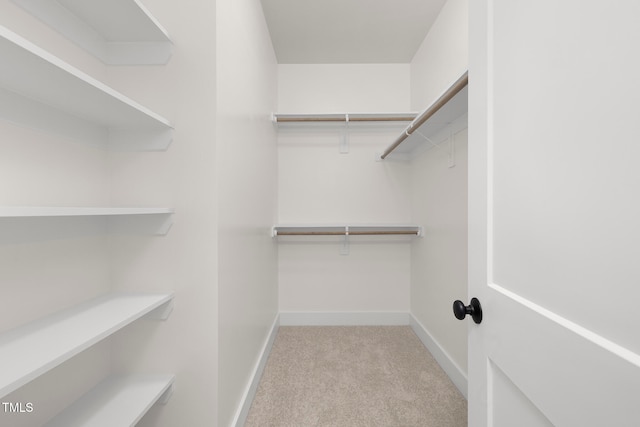 walk in closet featuring light carpet