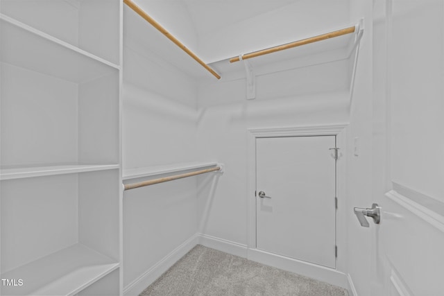 spacious closet with light carpet