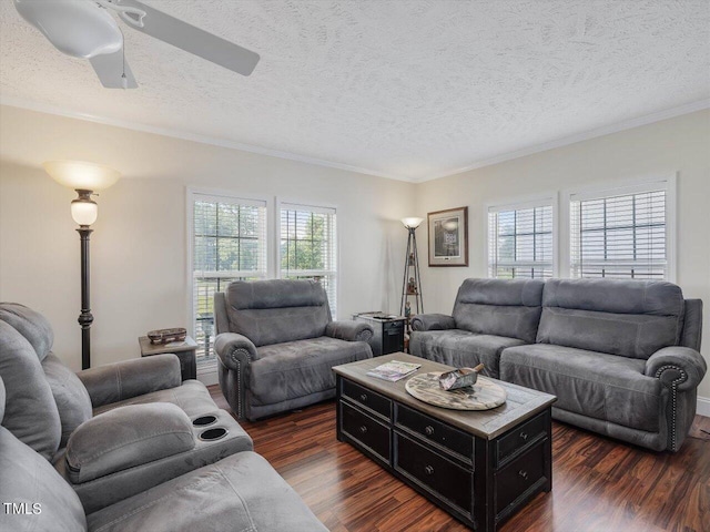 living room with a wealth of natural light, dark wood-type flooring, ornamental molding, and a textured ceiling