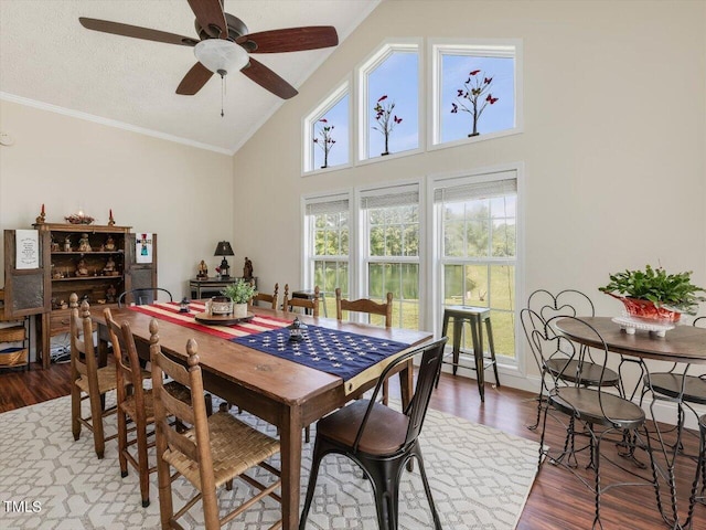 dining area featuring hardwood / wood-style flooring, ceiling fan, high vaulted ceiling, ornamental molding, and a textured ceiling