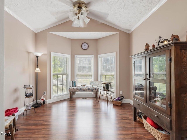 sitting room with dark hardwood / wood-style flooring, vaulted ceiling, and a textured ceiling