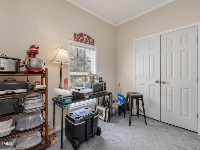 carpeted office space with crown molding