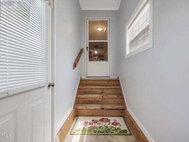 doorway with crown molding and hardwood / wood-style floors