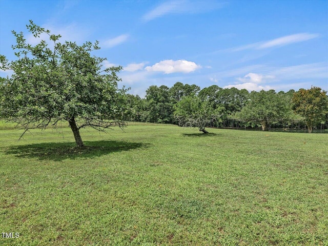 view of yard featuring a rural view