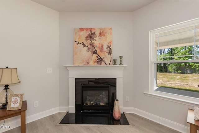 details with wood finished floors, a fireplace with flush hearth, and baseboards