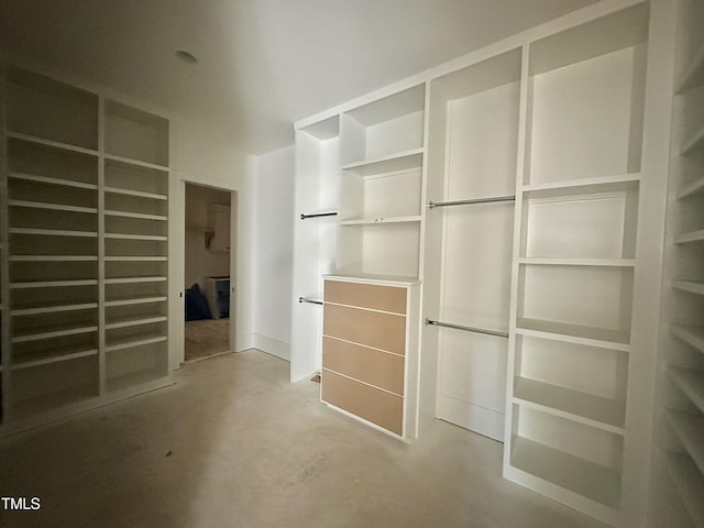 view of spacious closet