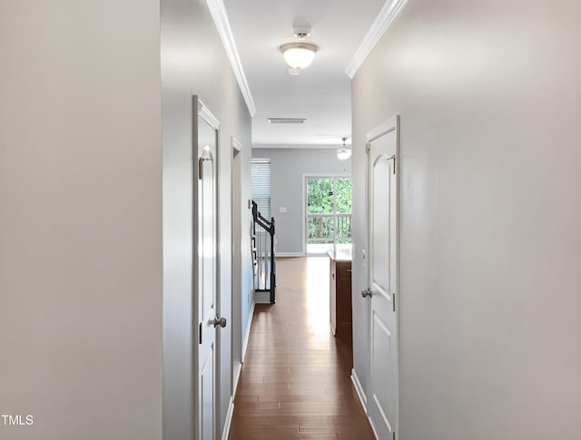 hallway featuring crown molding and dark wood-type flooring