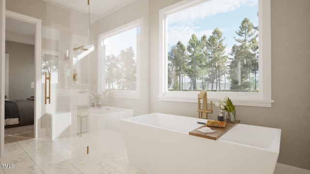 bathroom featuring plenty of natural light and shower with separate bathtub