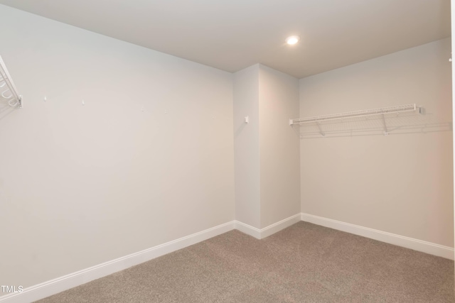 spacious closet with carpet flooring