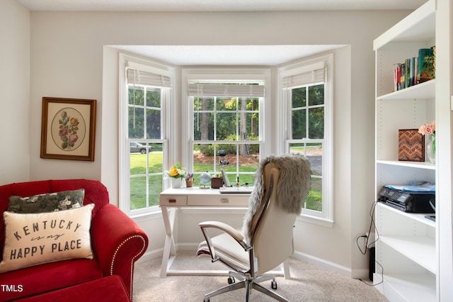 sitting room with carpet